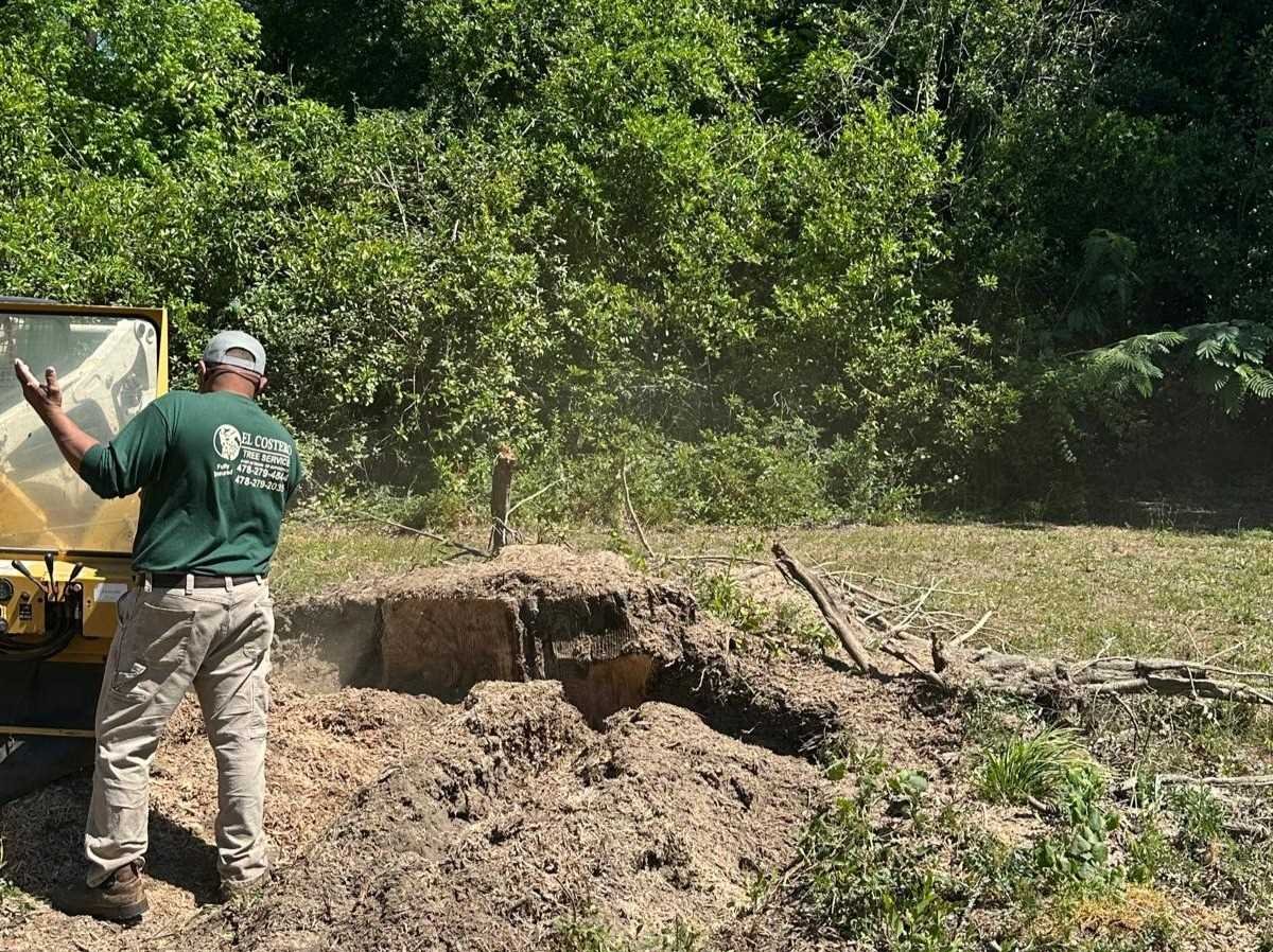 El Costeño Tree Service LLC